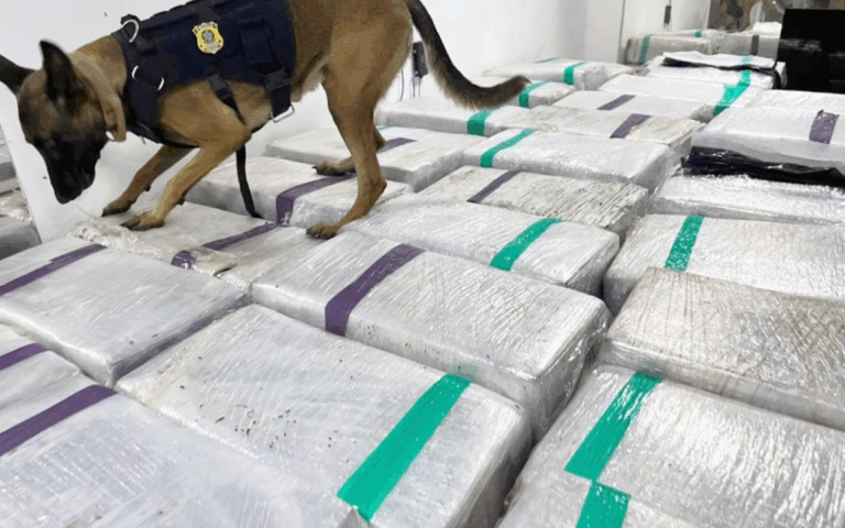 PRF apreende 3 toneladas de maconha na Dutra